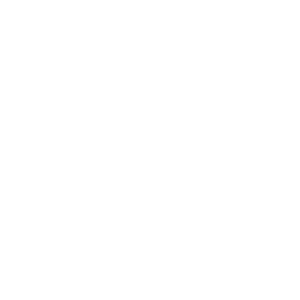 Icon-8